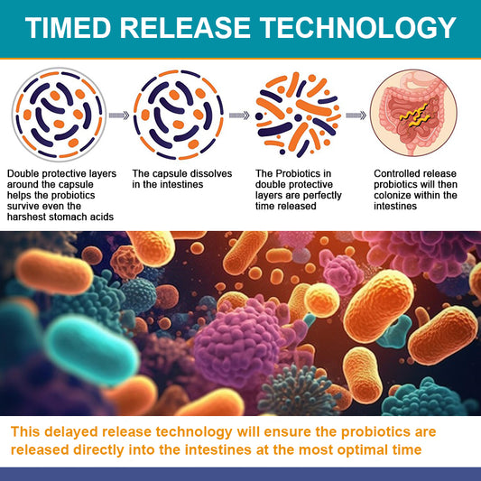 Probiotic 120 Billion CFU for Women & Men - Immune, Digestive & Gut Health -120 Capsule