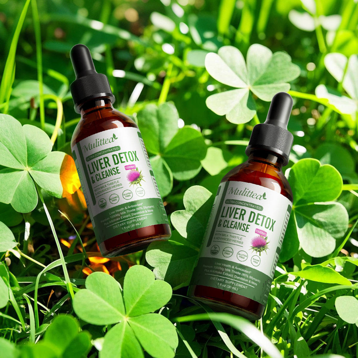 Liver Health Liquid Drops (2 Pack) – Potent Liver Detox & Repair with Artichoke, Milk Thistle (80% Silymarin), Dandelion, Turmeric & Berberine – 21 Herb-Nutrient Blend for Immune & Gut Support