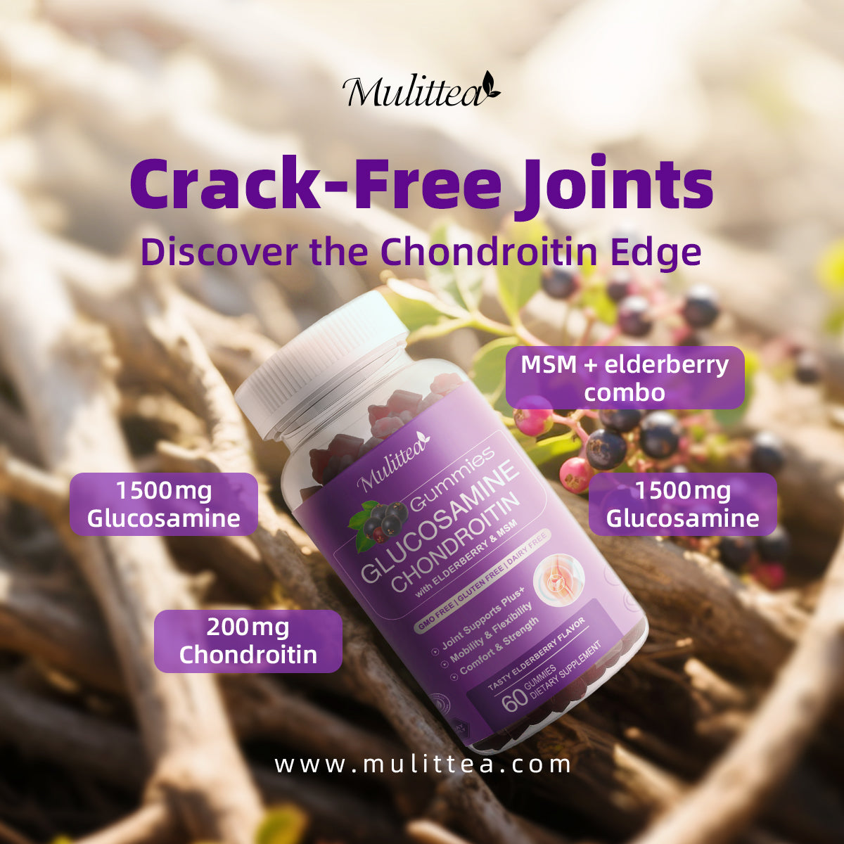 (2 Pack) Mulittea Glucosamine Chondroitin Gummies