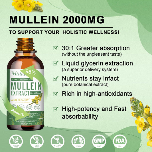 Vegan Mullein Drops – Supports Immunity, Digestion & Detox