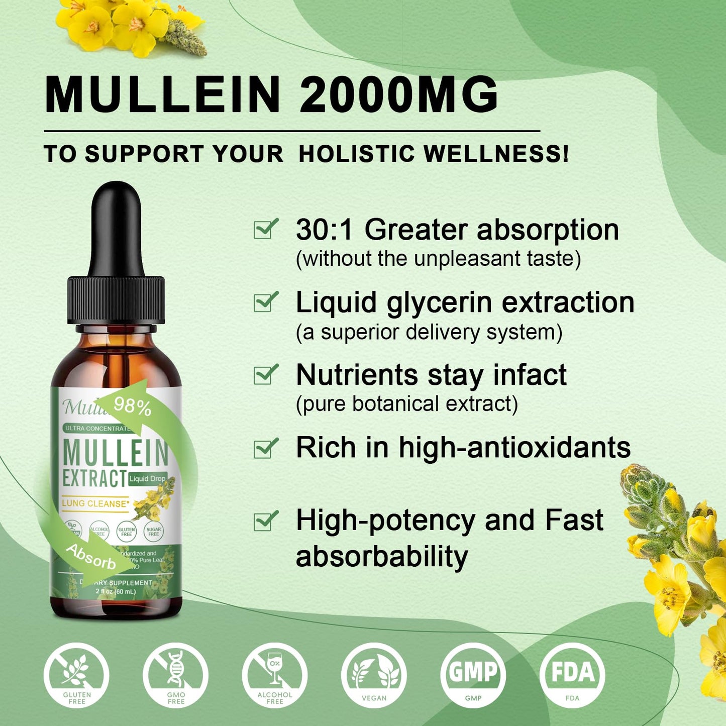 2 Packs Mullein Drops for Lungs - Lung Cleanse & Detox- Vegan Mullein Leaf Extract for Lung Immune,Respiratory Digestive -9 Potent Herbal Supplement to Renew -As Liquid, Tincture- 2Fl Oz (Pack of 2)