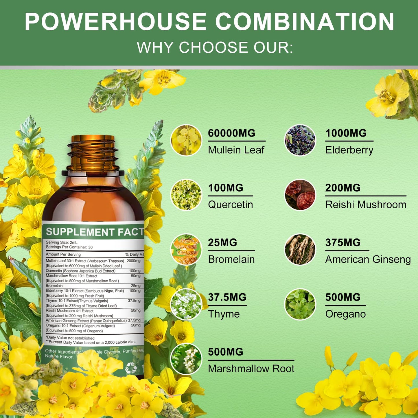 Lung Cleanse & Detox Mullein Drops with 9 Herbal Ingredients
