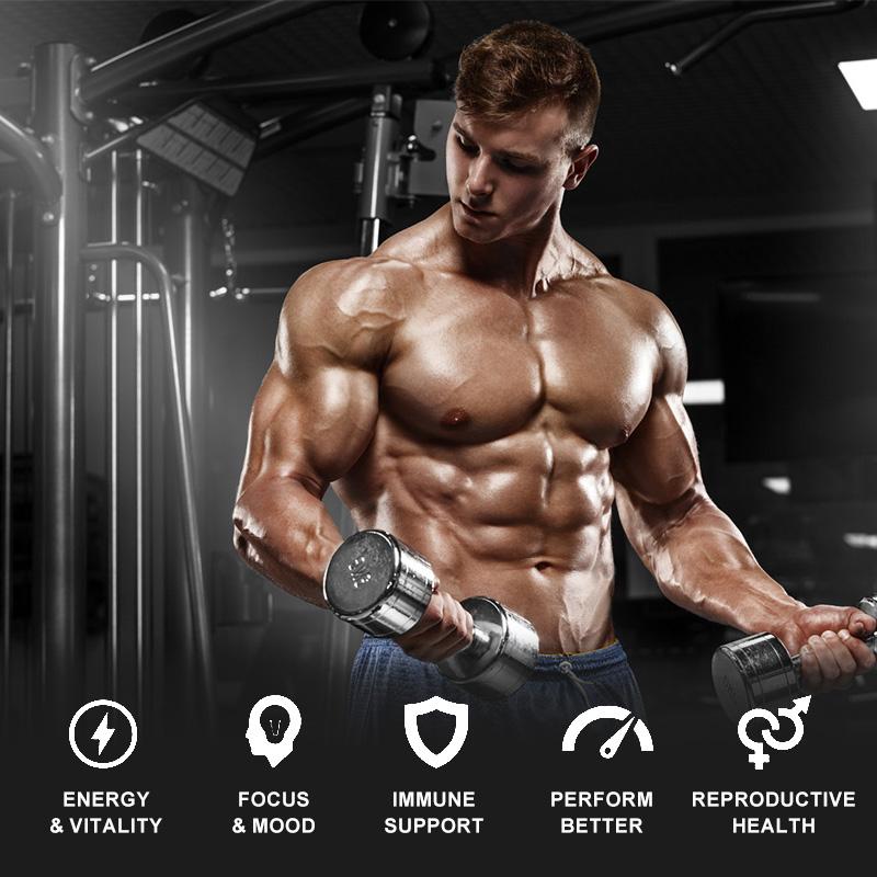 Natural Tongkat Ali Root Capsule Support Strength, Energy and Healthy Immune for Man