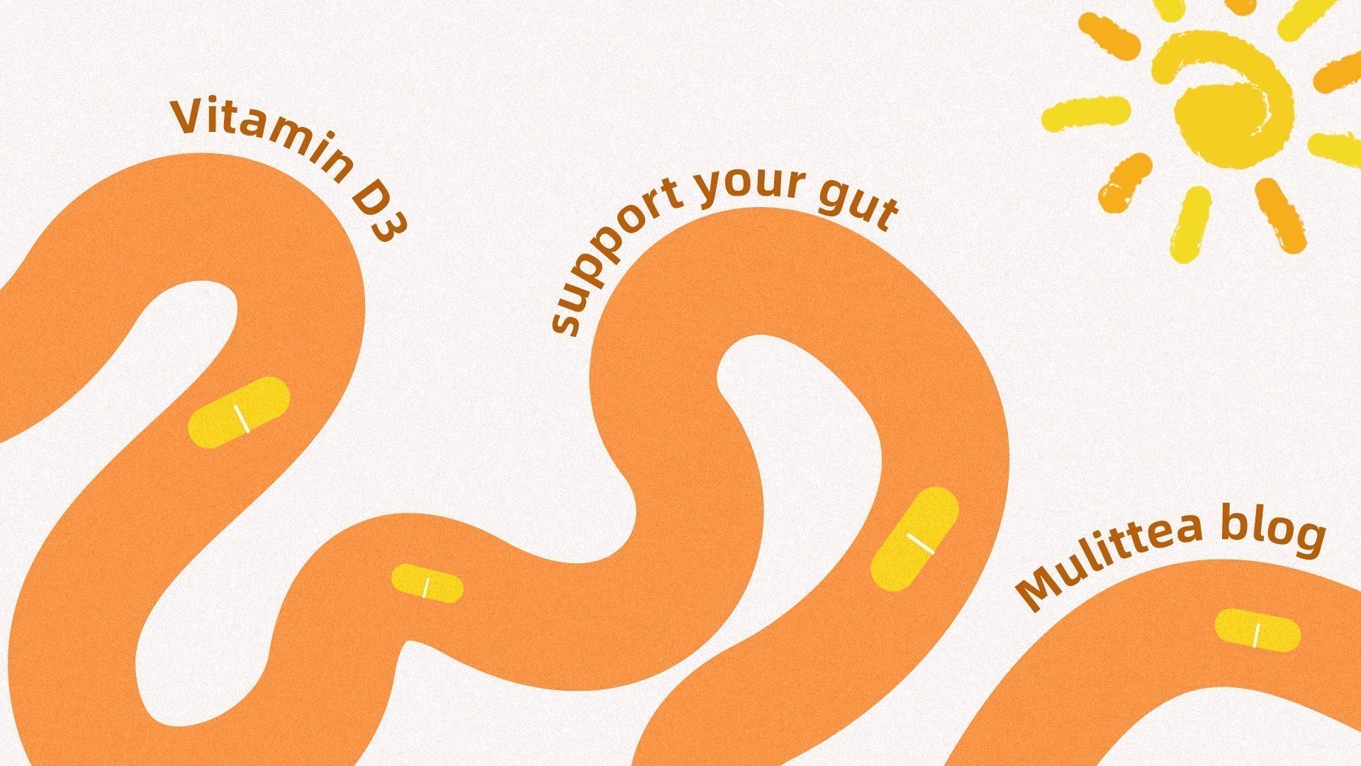 Summer vitamin D3 K2 supporting gut health illustration