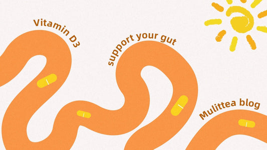 Summer vitamin D3 K2 supporting gut health illustration