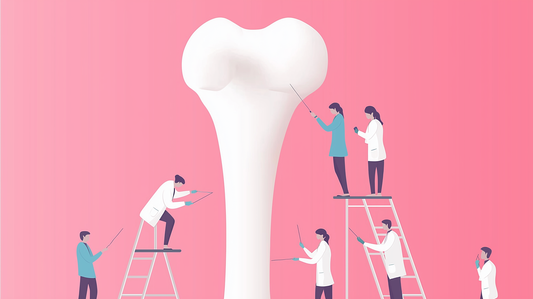 Healthy Habits for Stronger Bones: A Beginner’s Guide