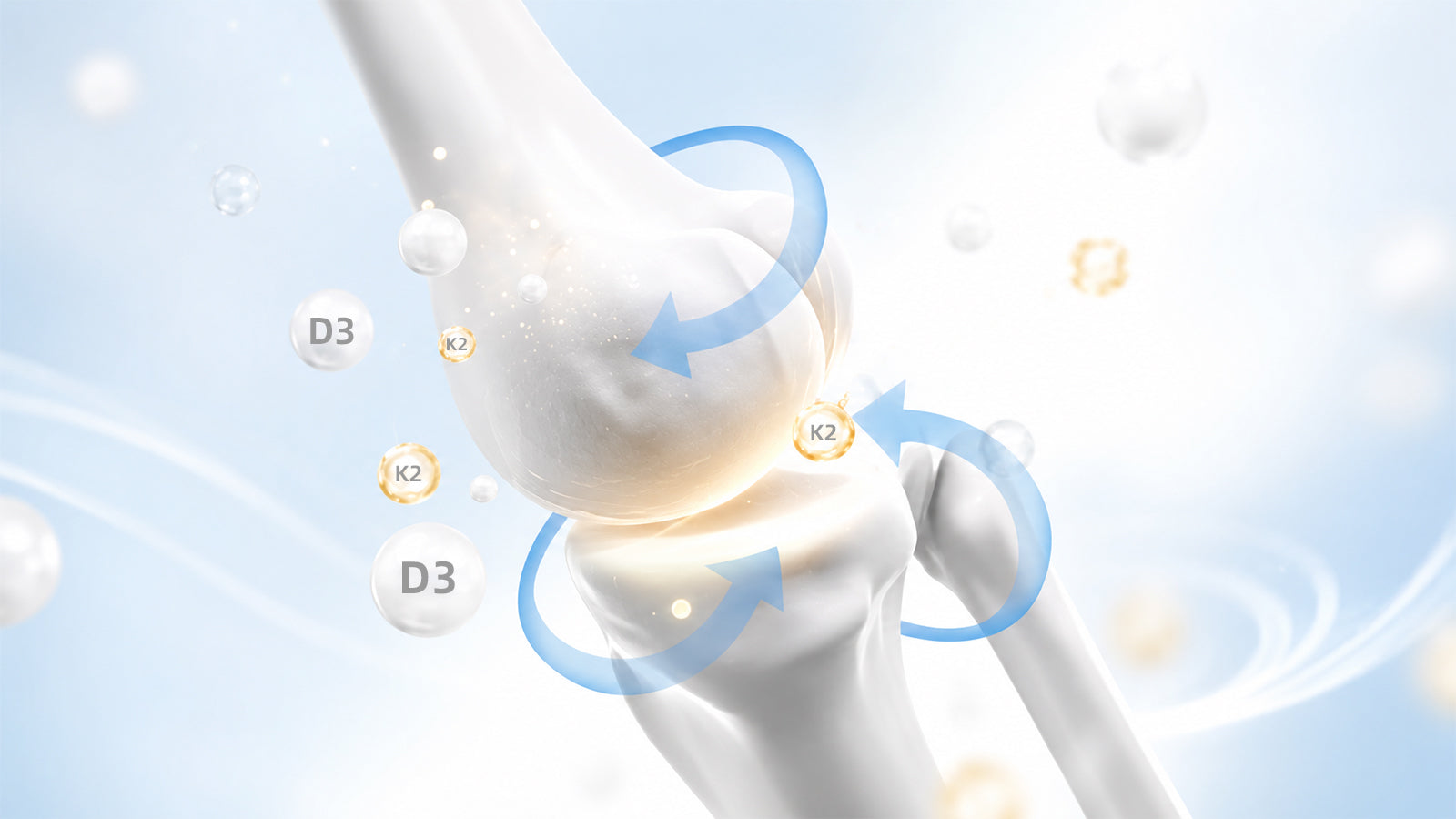 This illustration by the Mulittea team highlights how Vitamin D3 boosts calcium absorption, while Vitamin K2 acts as the perfect navigator, safely transporting calcium into your bones instead of arteries.