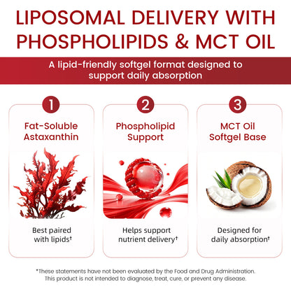 Liposomal Astaxanthin & Hyaluronic Acid | 90 Softgels