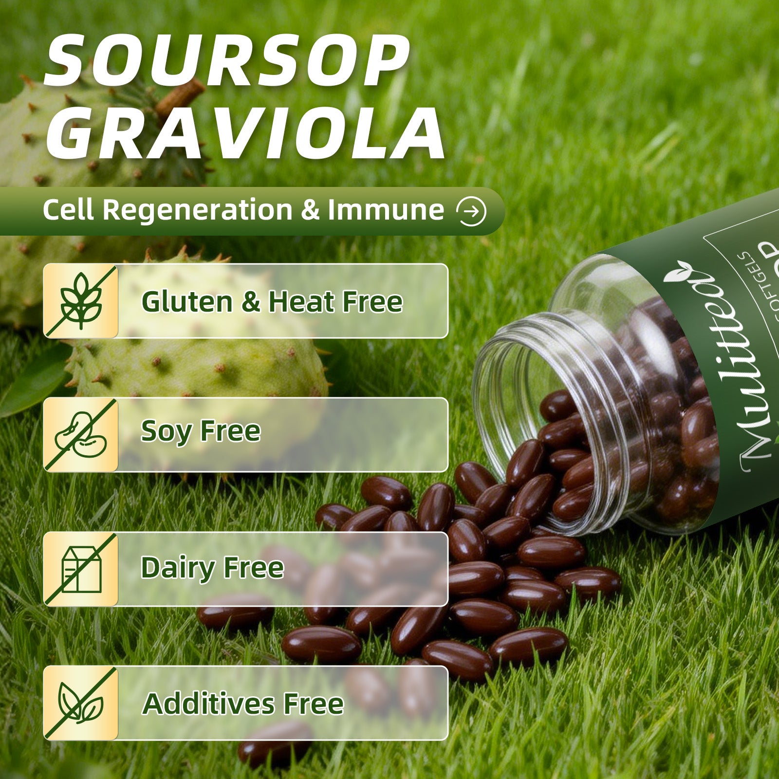 10:1 Soursop Graviola Extract | 120 Softgels