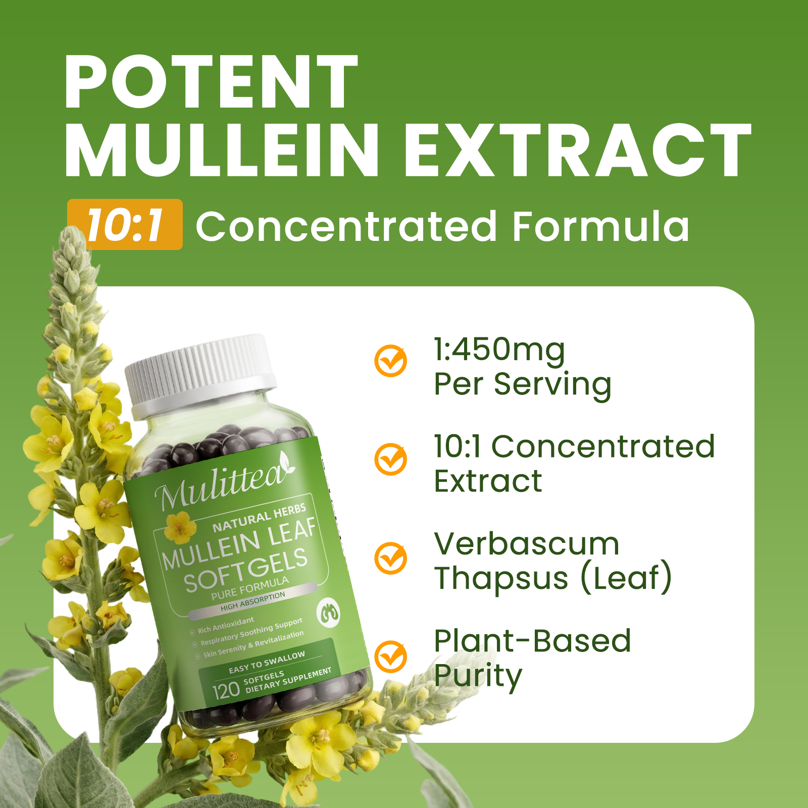 10:1 Mullein Leaf Softgels | 120 Count