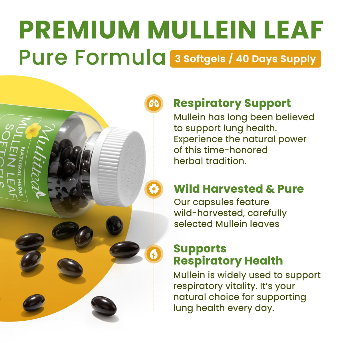 (2 Pack) Mulittea Mullein Leaf Capsules - Herbal Dietary Supplement for Lung Detox & Healthy Breath - 240 Capsules