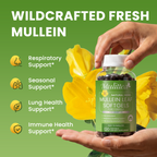 10:1 Mullein Leaf Softgels | 120 Count
