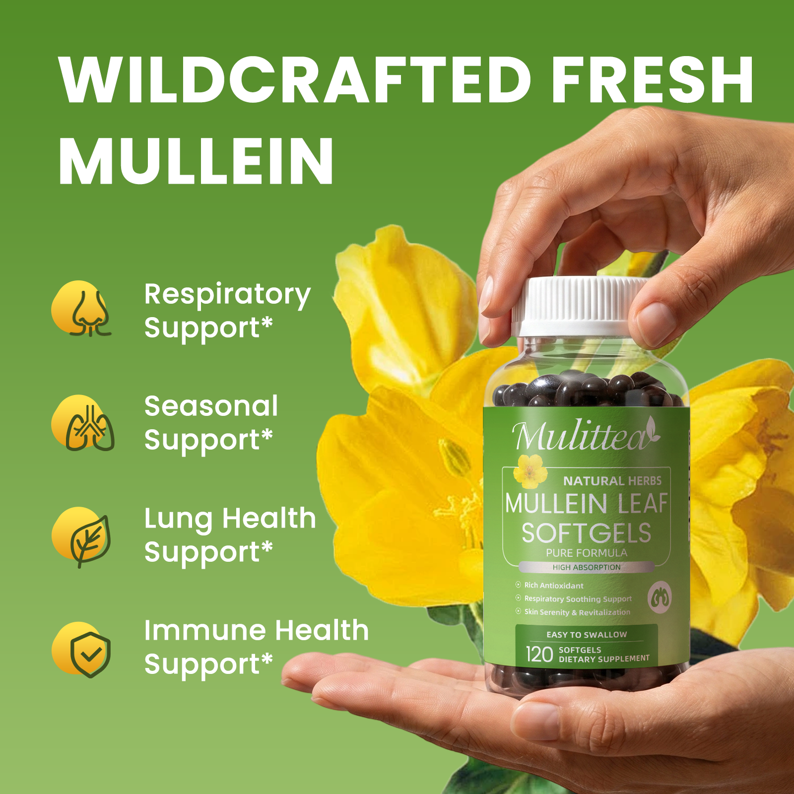 10:1 Mullein Leaf Softgels | 120 Count