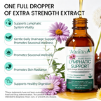 11-in-1 Lymphatic Support Drops for Detox & Bloating | 2 fl oz (60ml)