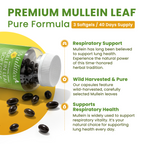 10:1 Mullein Leaf Extract | 120 Softgels