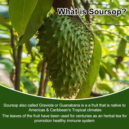 Mulittea Soursop Graviola Capsules – 1000mg per Serving – 120 Capsules