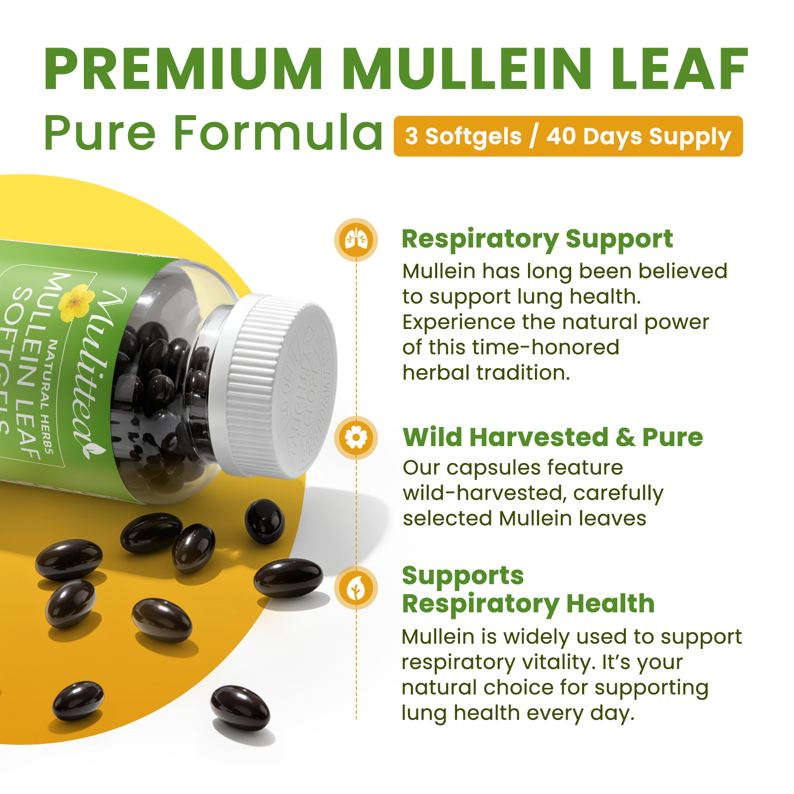 10:1 Mullein Leaf Softgels | 120 Count