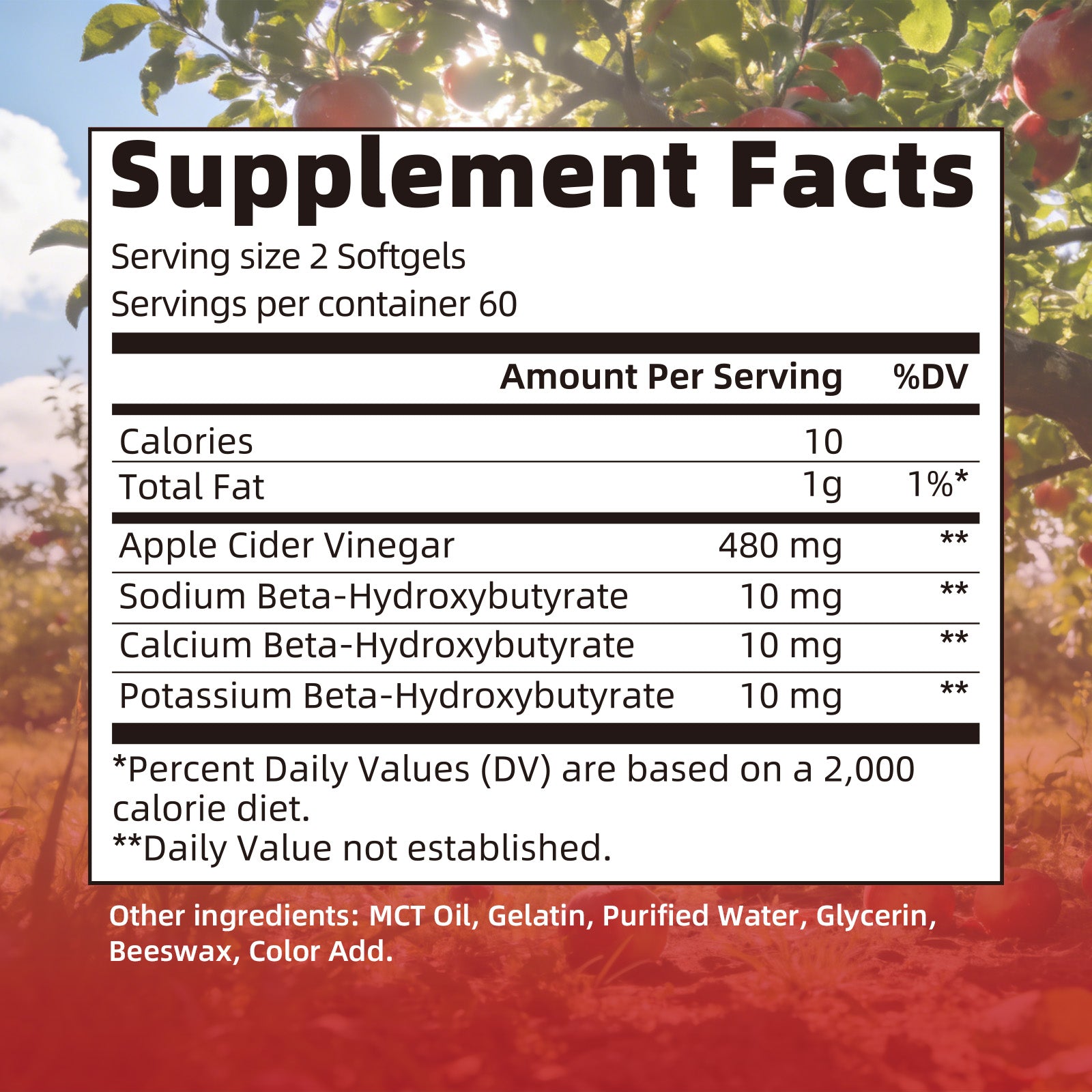 Apple Cider Vinegar Softgels | 120 Count