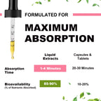 Triple Magnesium & L-Threonate Drops | 2 x 2 fl oz (120ml)