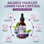 Cortisol Support Liquid Drops with Ashwagandha | 2 fl oz (60ml)