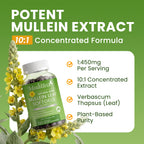 (2 Pack) Mulittea Mullein Leaf Capsules - Herbal Dietary Supplement for Lung Detox & Healthy Breath - 240 Capsules