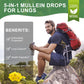 Mullein Drops for Lungs – Organic Mullein Leaf Extract, Lung Cleanse & Respiratory Support, Non-GMO, Vegan, 4 fl oz