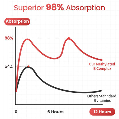 Mulittea Methylated B Complex Liquid Drops 5000 mcg B12 + 1000 mcg Folate – Sugar-Free Energy & Focus Supplement