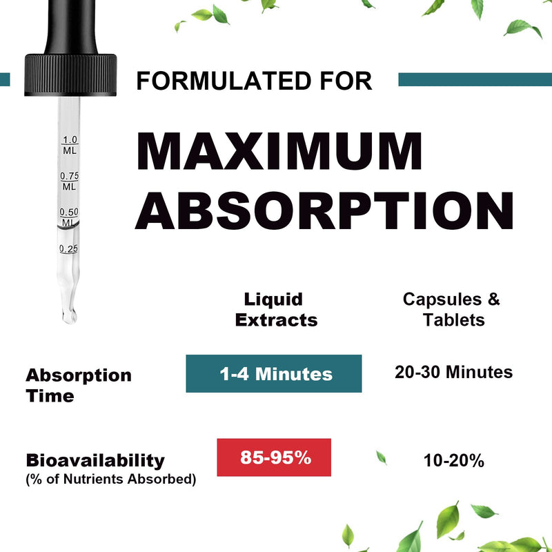 Glucosamine Chondroitin MSM Liquid Drops, Extra Strength Joint Support Supplement with Elderberry, Boswelia, Bromelain, Hyaluronic Acid, Antioxidant Immune Support for Adults, Men & Women(2 Fl oz)