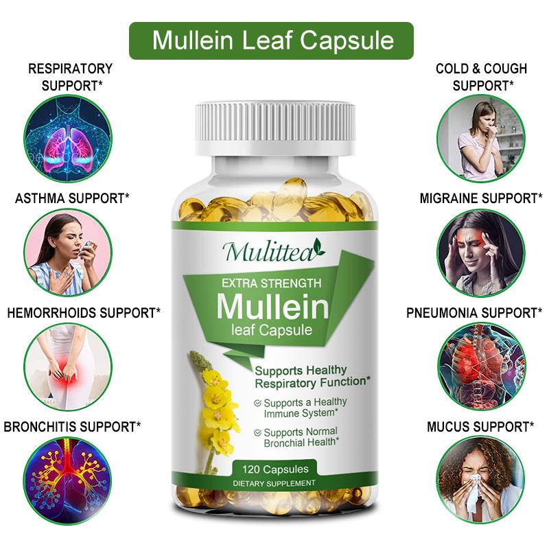 Natural Mullein Leaf Capsules Herbal Supplement  for Lung Cleanse  Supports Healthy Respiratory Function & Mucous Membranes