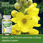 Natural Mullein Leaf Capsules Herbal Supplement  for Lung Cleanse  Supports Healthy Respiratory Function & Mucous Membranes