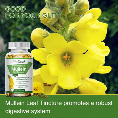 Natural Mullein Leaf Capsules – Herbal Lung Cleanse & Respiratory Support – Vegan, Non-GMO
