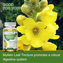 Natural Mullein Leaf Capsules Herbal Supplement  for Lung Cleanse  Supports Healthy Respiratory Function & Mucous Membranes