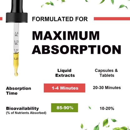 Magnesium Glycinate Liquid Drops – Triple Absorption Formula with Potassium, L-Theanine & Vitamins B, C, D3, K2 – Raspberry Flavor, Sugar-Free, Vegan