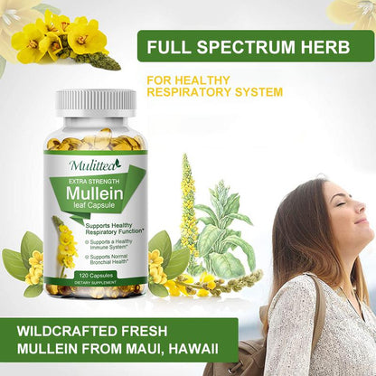 Natural Mullein Leaf Capsules – Herbal Lung Cleanse & Respiratory Support – Vegan, Non-GMO