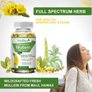 Natural Mullein Leaf Capsules Herbal Supplement  for Lung Cleanse  Supports Healthy Respiratory Function & Mucous Membranes