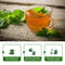 Mulittea Spearmint Tea Everyday Wellness