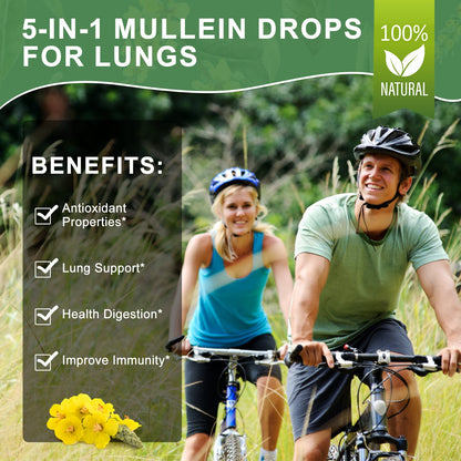Mulittea 5-in-1 Mullein Drops for Lungs – Mullein Leaf & Elderberry Extract – Respiratory Health & Lung Detox Support – Herbal Immune Supplement – 2 fl oz