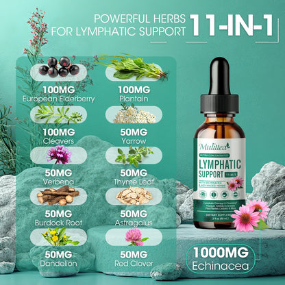 Lymphatic Drainage Drops – Vegan 11-in-1 Herbal Blend for Lymph System Support & Detox – Echinacea, Elderberry, Thyme & More – 2 Fl.oz