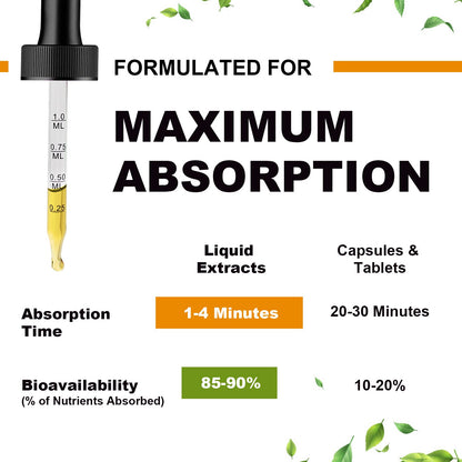 Magnesium 500mg Liquid Drops – High Absorption Formula for Relaxation & Sleep Support – Vegan & Sugar-Free