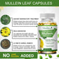 Natural Mullein Leaf Capsules Herbal Supplement  for Lung Cleanse  Supports Healthy Respiratory Function & Mucous Membranes