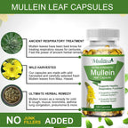 (2 Pack)Mulittea Mullein Leaf Capsules,Support Lung Detox Health Supplement,240 Capsules