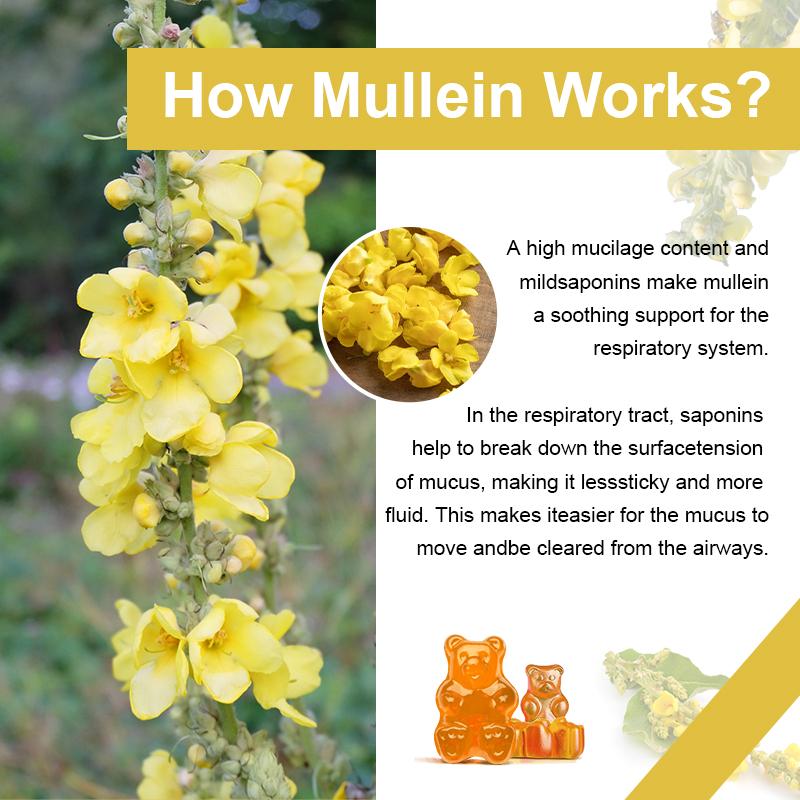 Mullein Gummies Pineapple Flavor 60pcs