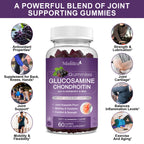 Glucosamine Chondroitin Gummies with MSM & Elderberry | 120 Count